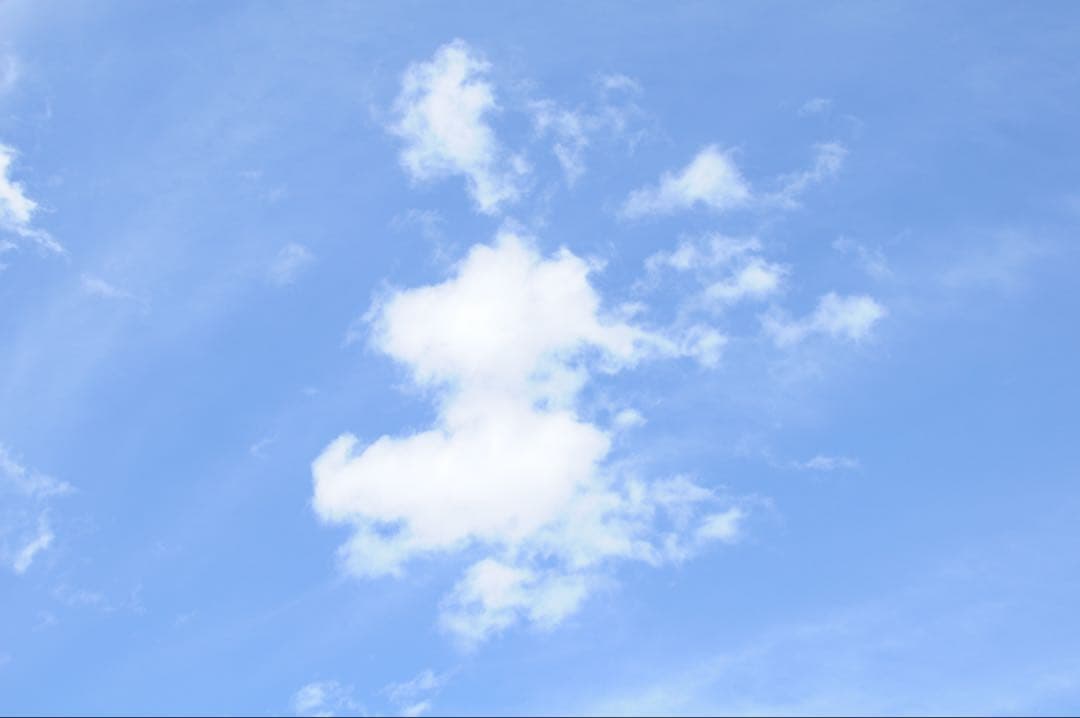 訳ありNikon AF-S DX NIKKOR 35mm f/1.8G