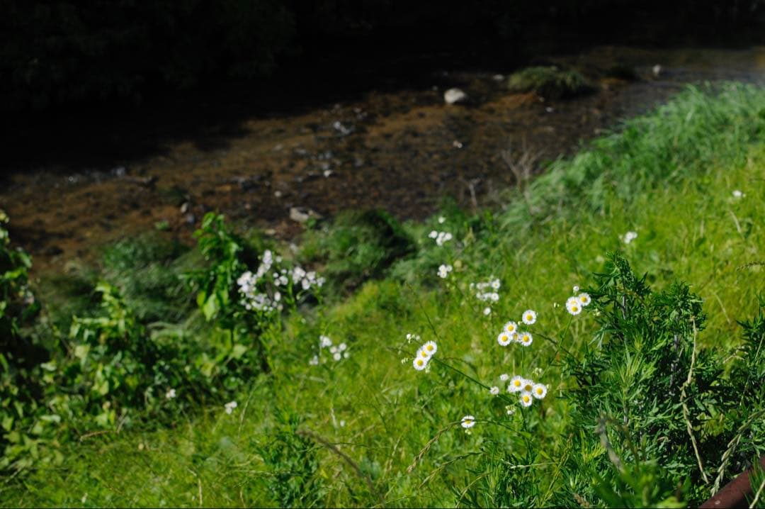 訳ありNikon AF-S DX NIKKOR 35mm f/1.8G