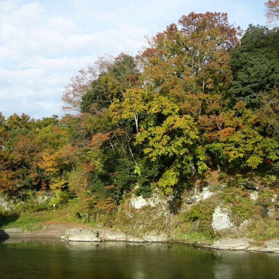 デジタルカメラ LUMIX LC33 Panasonic