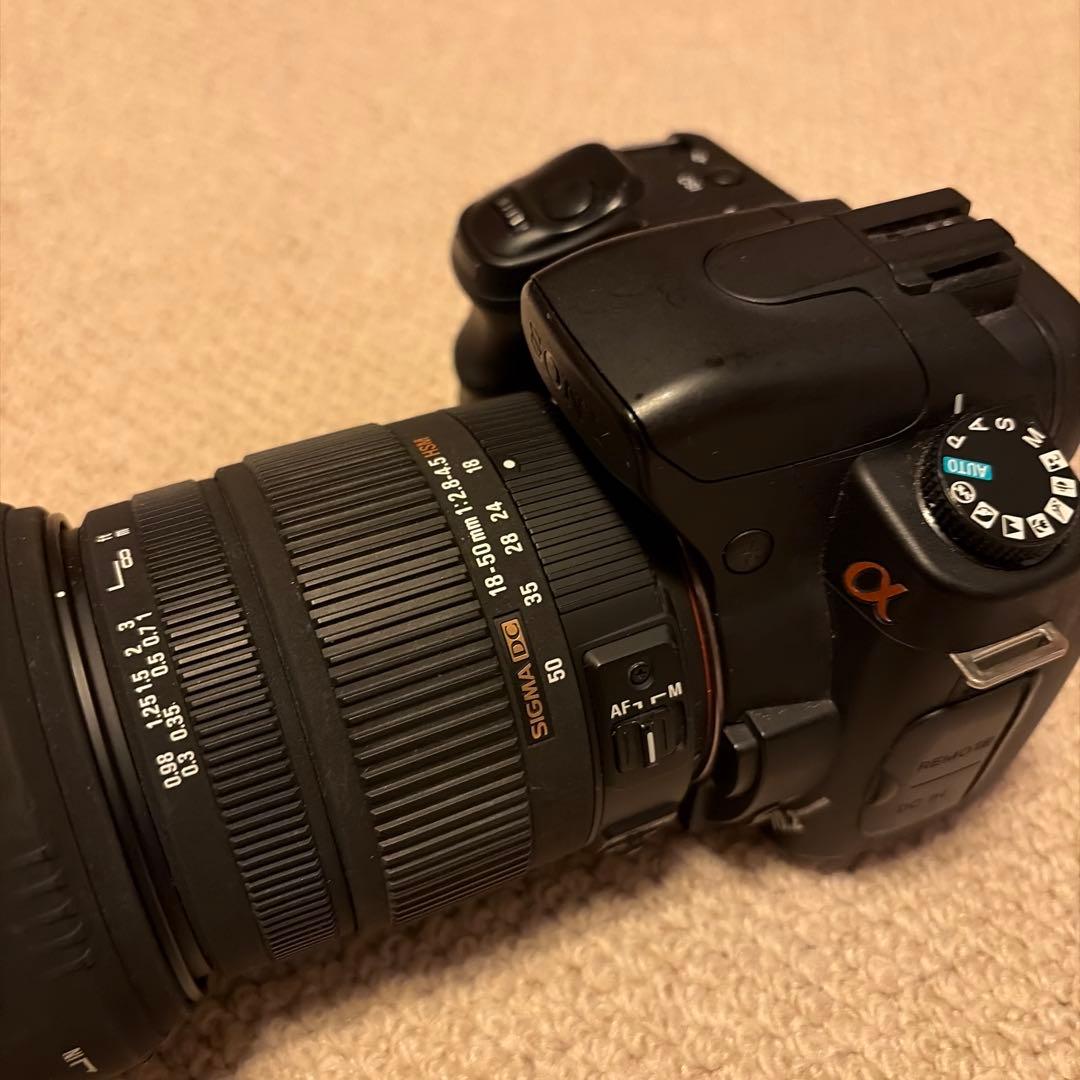 SONY α200 + SIGMA 18-50m F:2.8-4.5