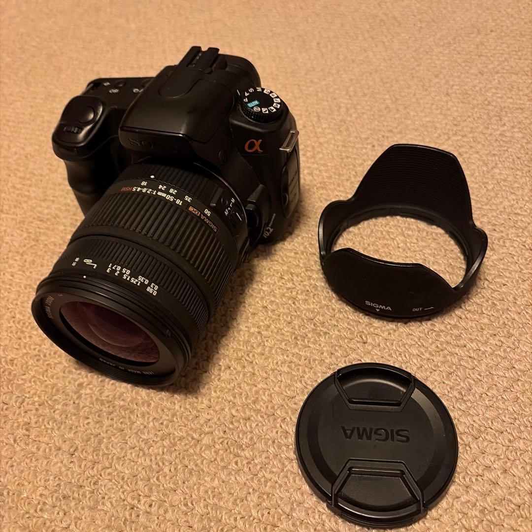 SONY α200 + SIGMA 18-50m F:2.8-4.5