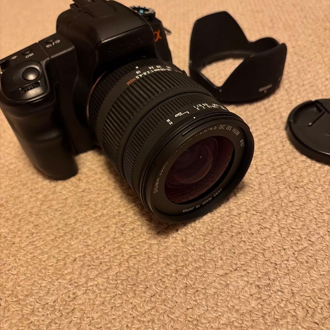 SONY α200 + SIGMA 18-50m F:2.8-4.5