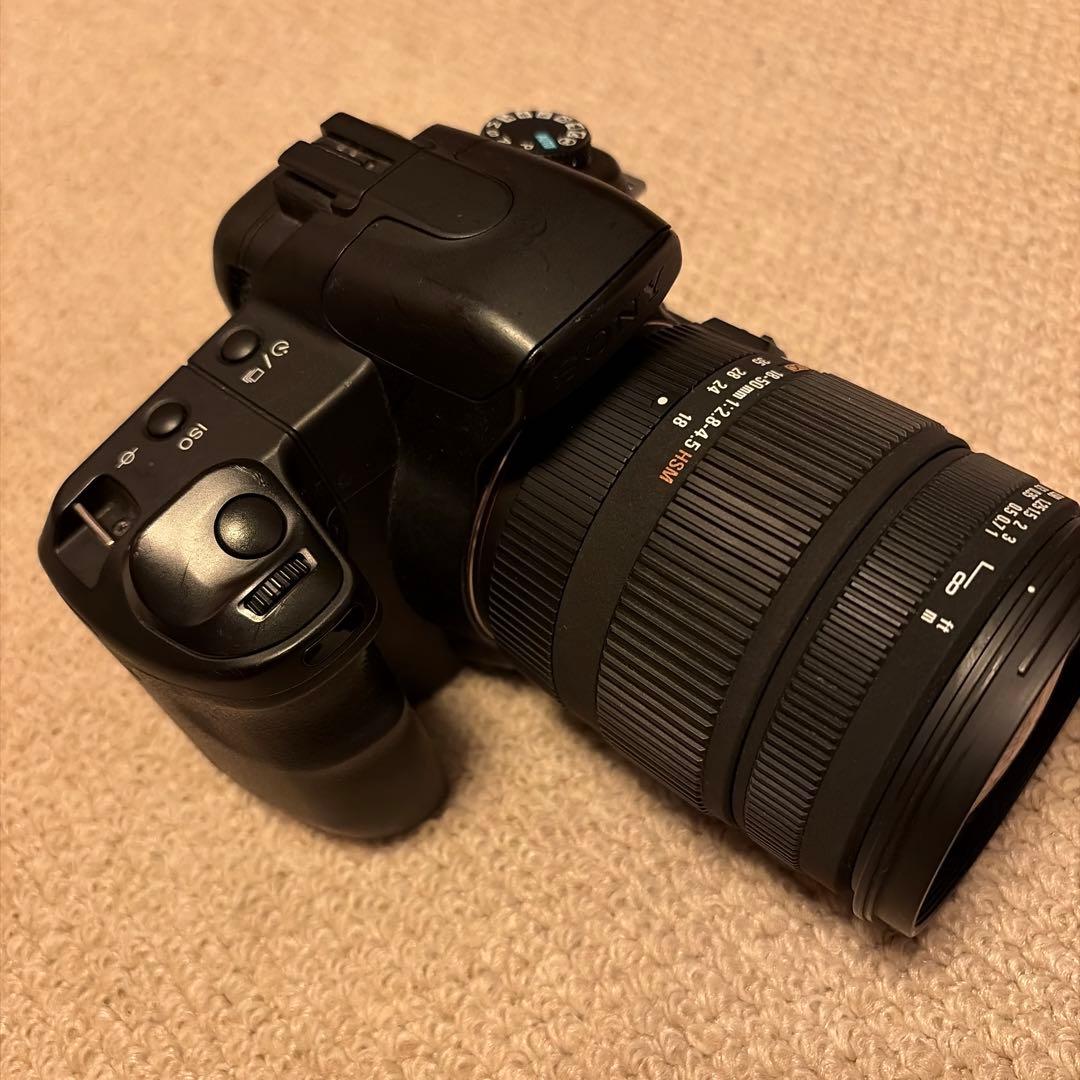 SONY α200 + SIGMA 18-50m F:2.8-4.5