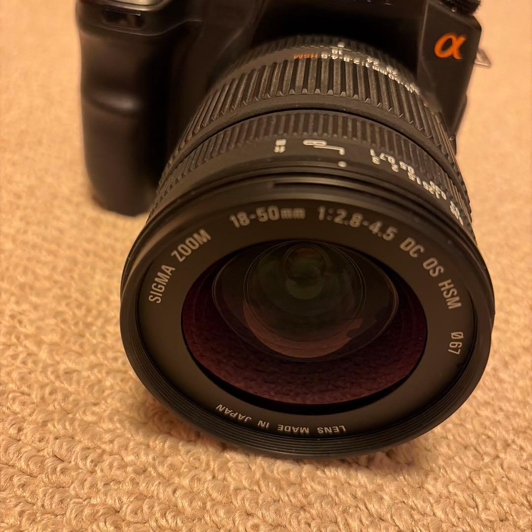 SONY α200 + SIGMA 18-50m F:2.8-4.5