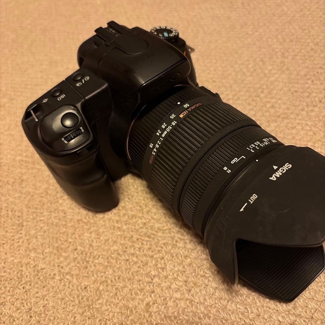 SONY α200 + SIGMA 18-50m F:2.8-4.5