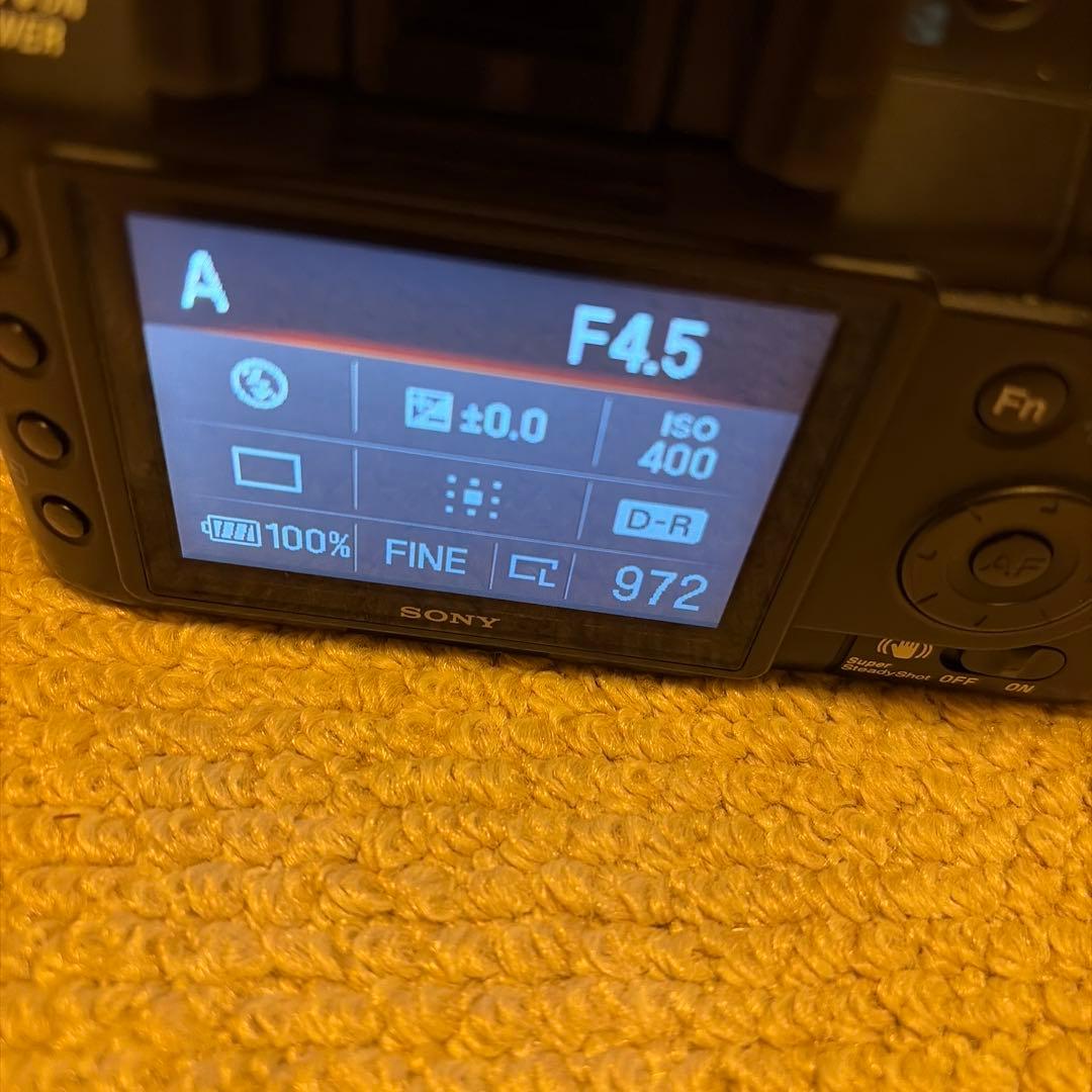 SONY α200 + SIGMA 18-50m F:2.8-4.5