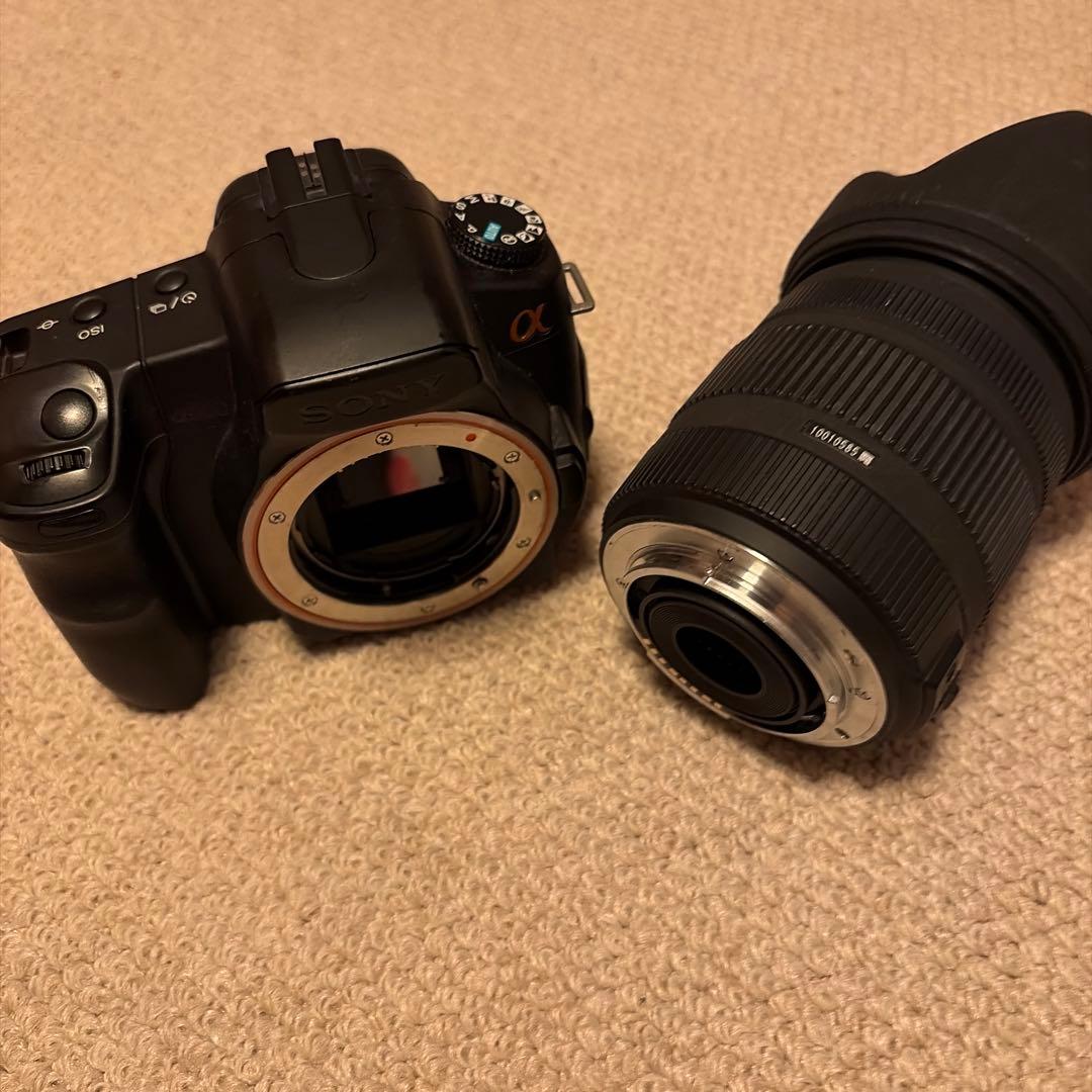 SONY α200 + SIGMA 18-50m F:2.8-4.5