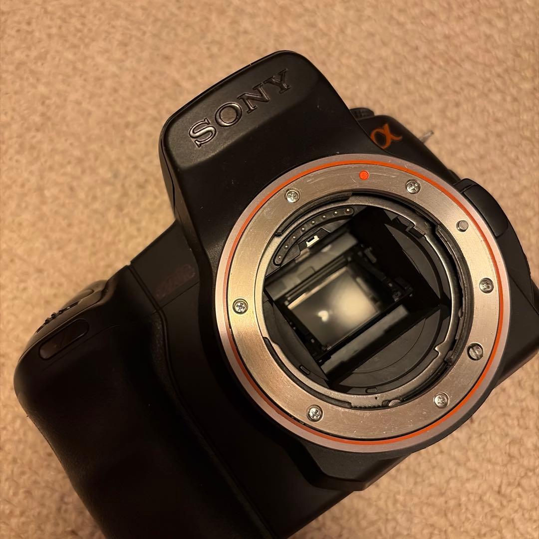 SONY α200 + SIGMA 18-50m F:2.8-4.5