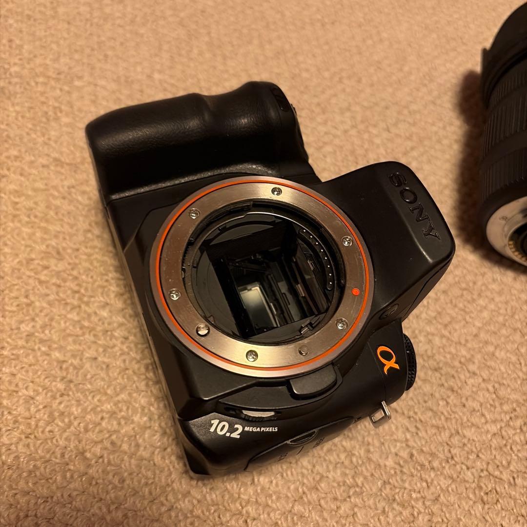 SONY α200 + SIGMA 18-50m F:2.8-4.5