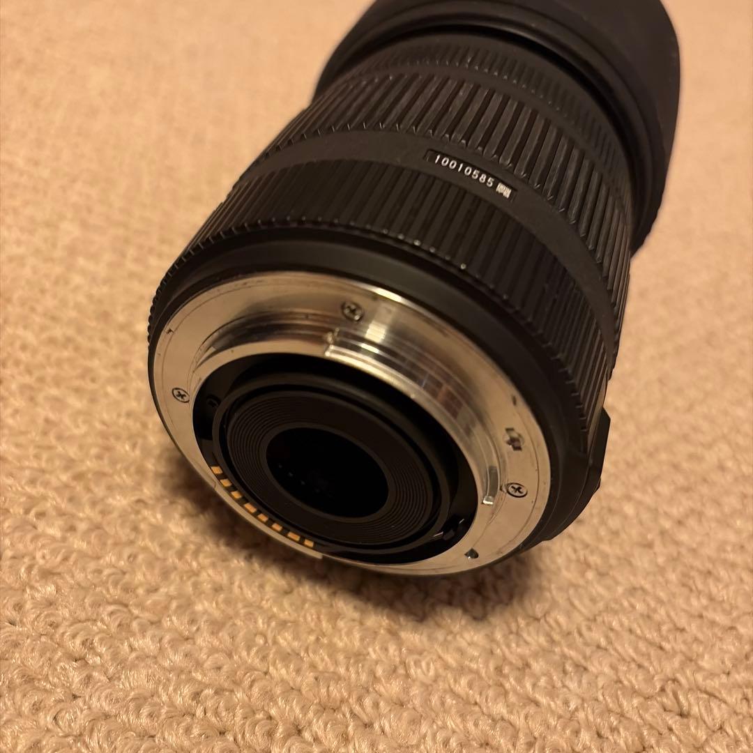 SONY α200 + SIGMA 18-50m F:2.8-4.5