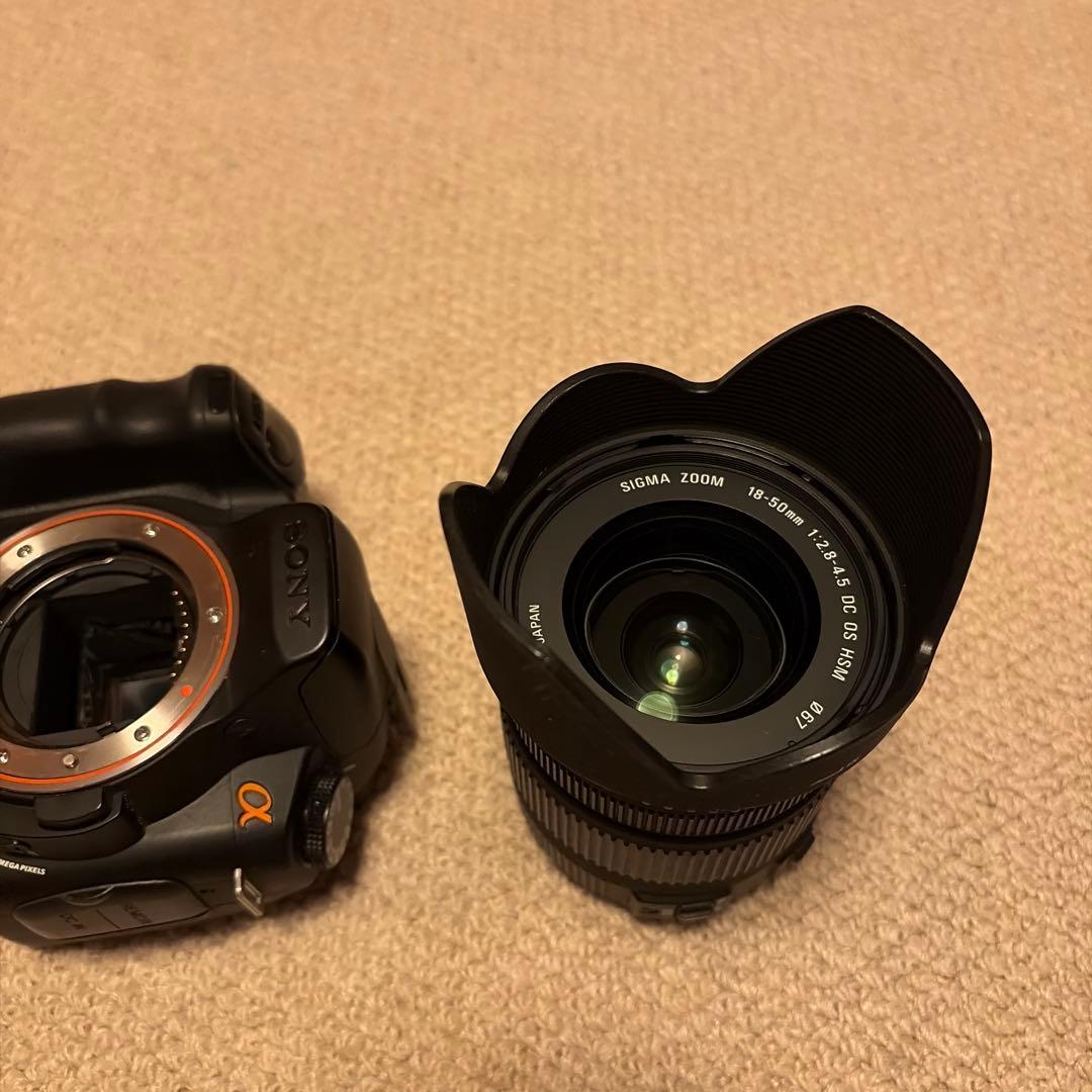 SONY α200 + SIGMA 18-50m F:2.8-4.5