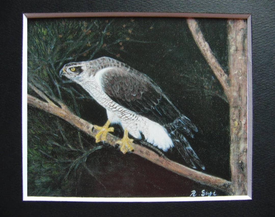 杉良太郎、「鷲」、希少画集画、新品高級額・額装付き、状態良好