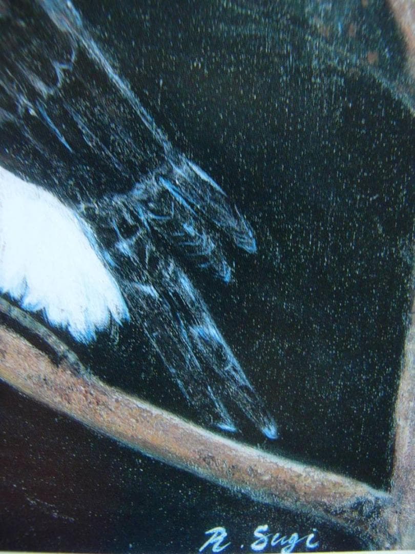 杉良太郎、「鷲」、希少画集画、新品高級額・額装付き、状態良好