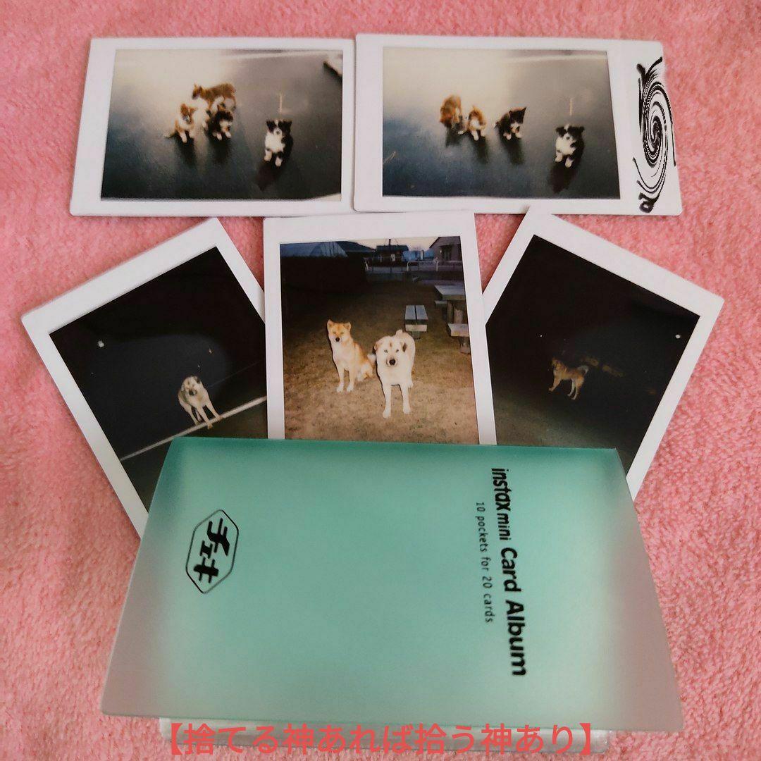 【参考出品】FUJI TW-3 コンパクトフィルムカメラ ハーフサイズ