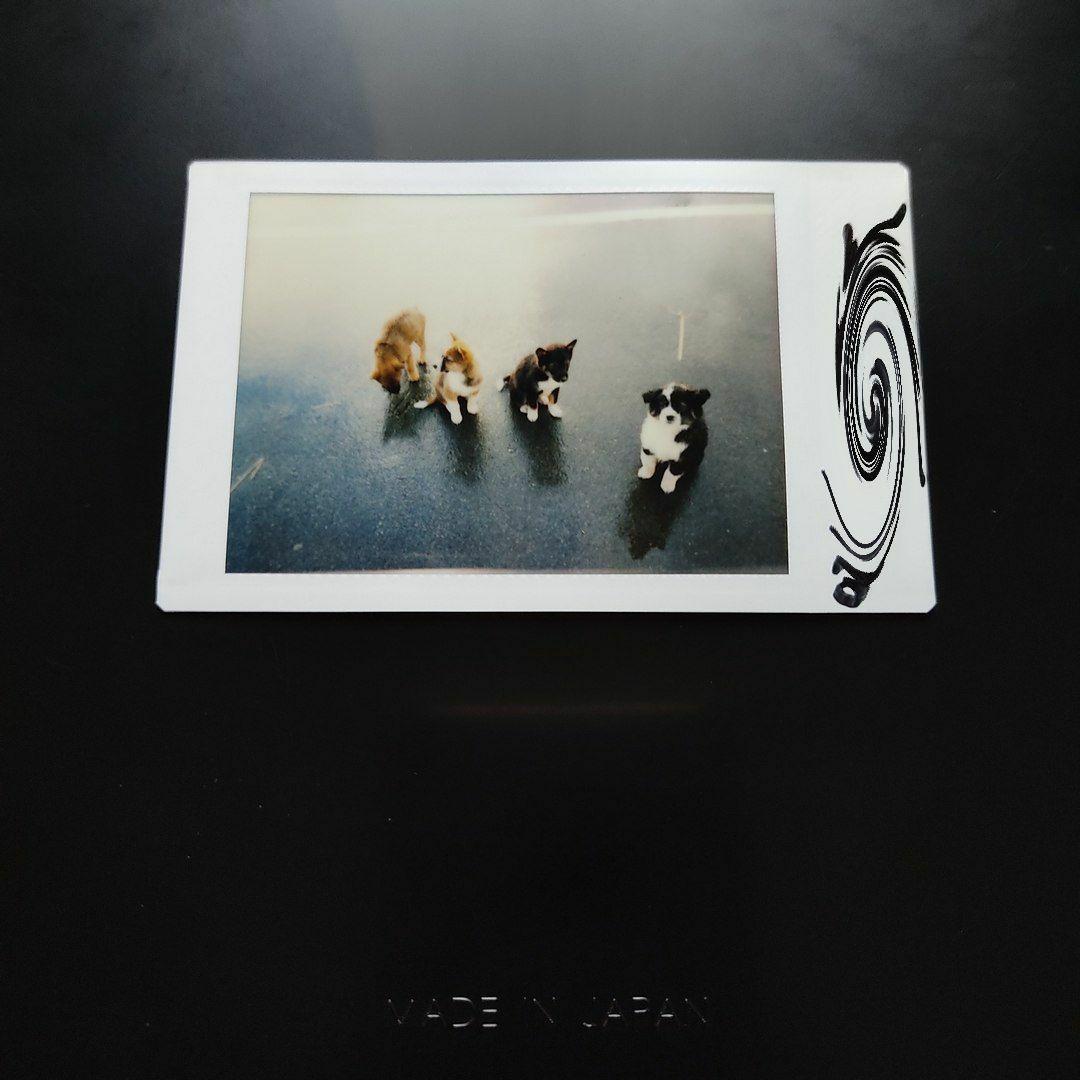 【参考出品】FUJI TW-3 コンパクトフィルムカメラ ハーフサイズ