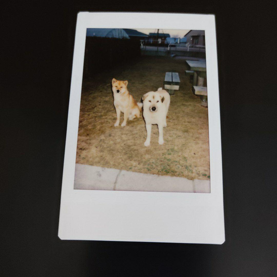 【参考出品】FUJI TW-3 コンパクトフィルムカメラ ハーフサイズ