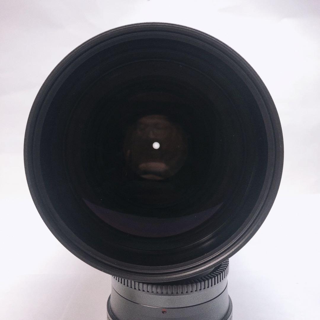 レンズ(ズーム) SIGMA APO 120-300mm F2.8 EX DG HSM Nikon