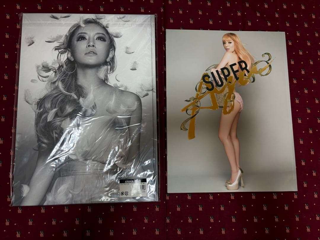 浜崎あゆみ20th アリーナツアー 限定パンフレット レスリーキー写真集　2点