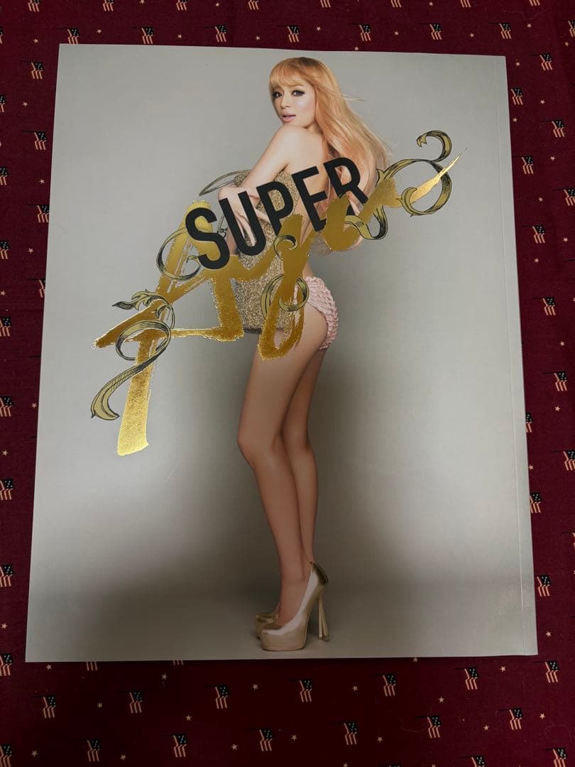 浜崎あゆみ20th アリーナツアー 限定パンフレット レスリーキー写真集　2点