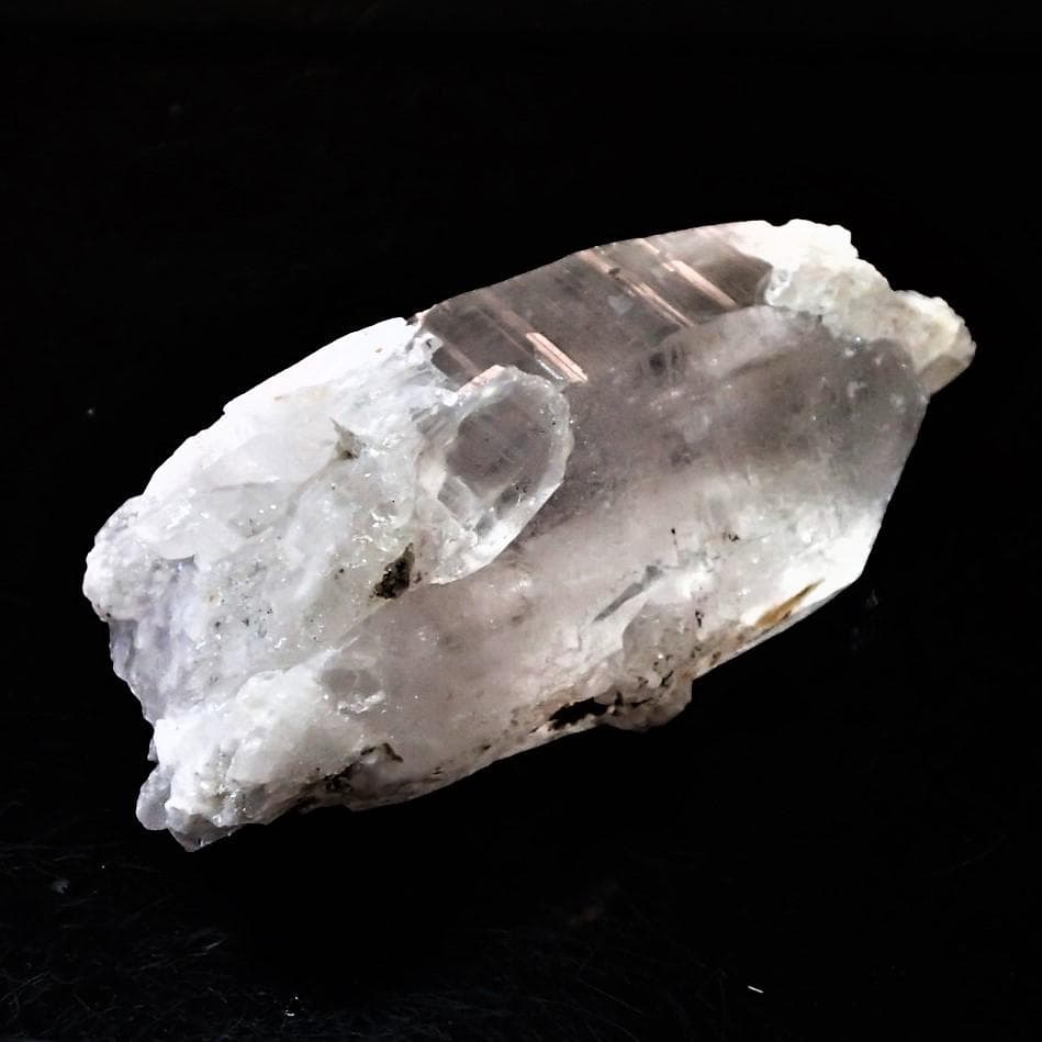 値下しました！ティップリン産ポイント-80-1