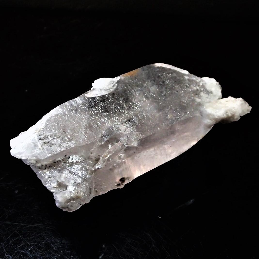 値下しました！ティップリン産ポイント-80-1