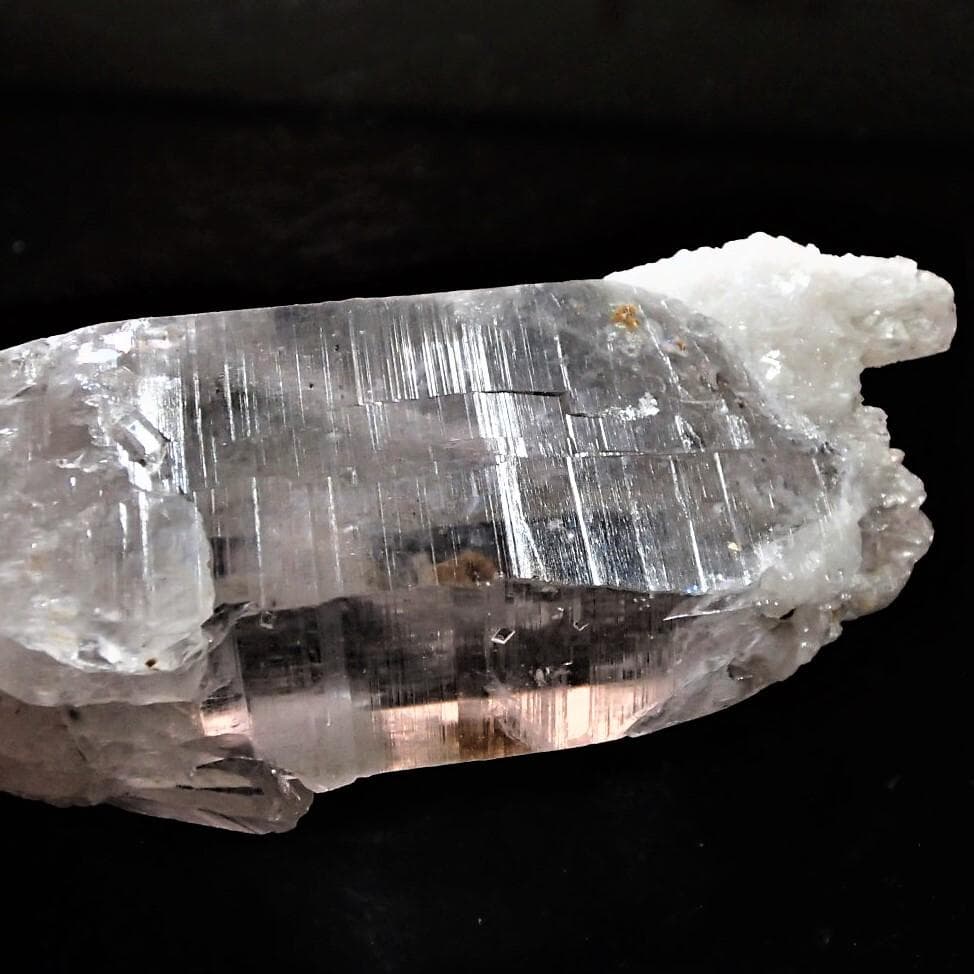 値下しました！ティップリン産ポイント-80-1