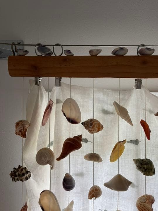 貝のすだれ