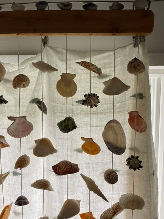 貝のすだれ