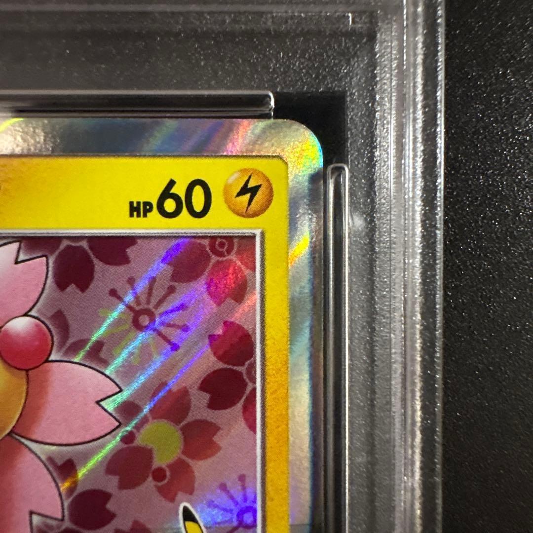 桜アフロのピカチュウ：ポケモンセンタートウキョーDX オープン記念 にほんばれキ