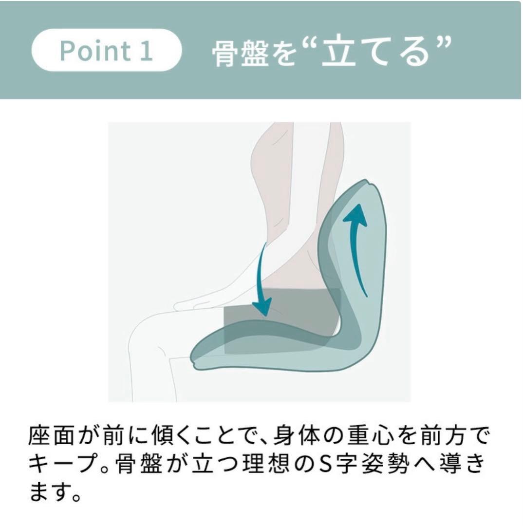 ★新品未使用★MTG スタイルプレミアム骨盤 姿勢補正 椅子