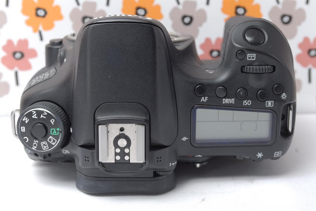 ❤Canon EOS 70D❤トリプルレンズ❤Wi-Fi接続❤単焦点レンズ付き❤