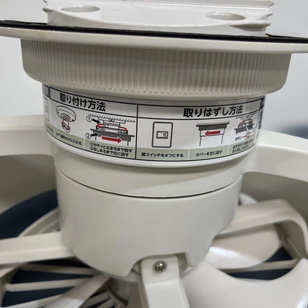 DOSHISHA ドウシシャ DCC-SW06EC サーキュライト