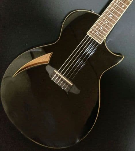 ESP LTD TL-6N エレガット