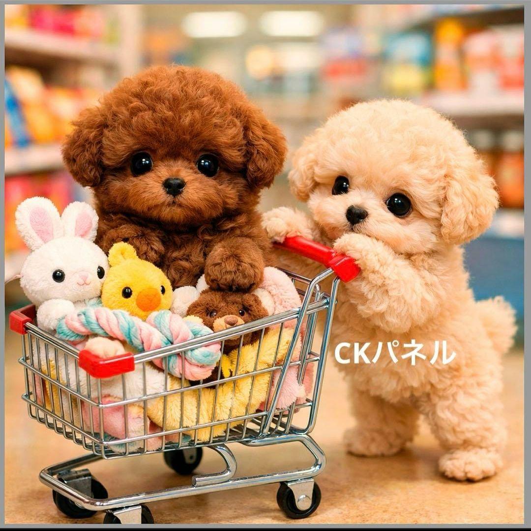 激レアカートに乗るポメラニアン、柴犬、マルチーズ、トイプー、チワワ、パグパネル