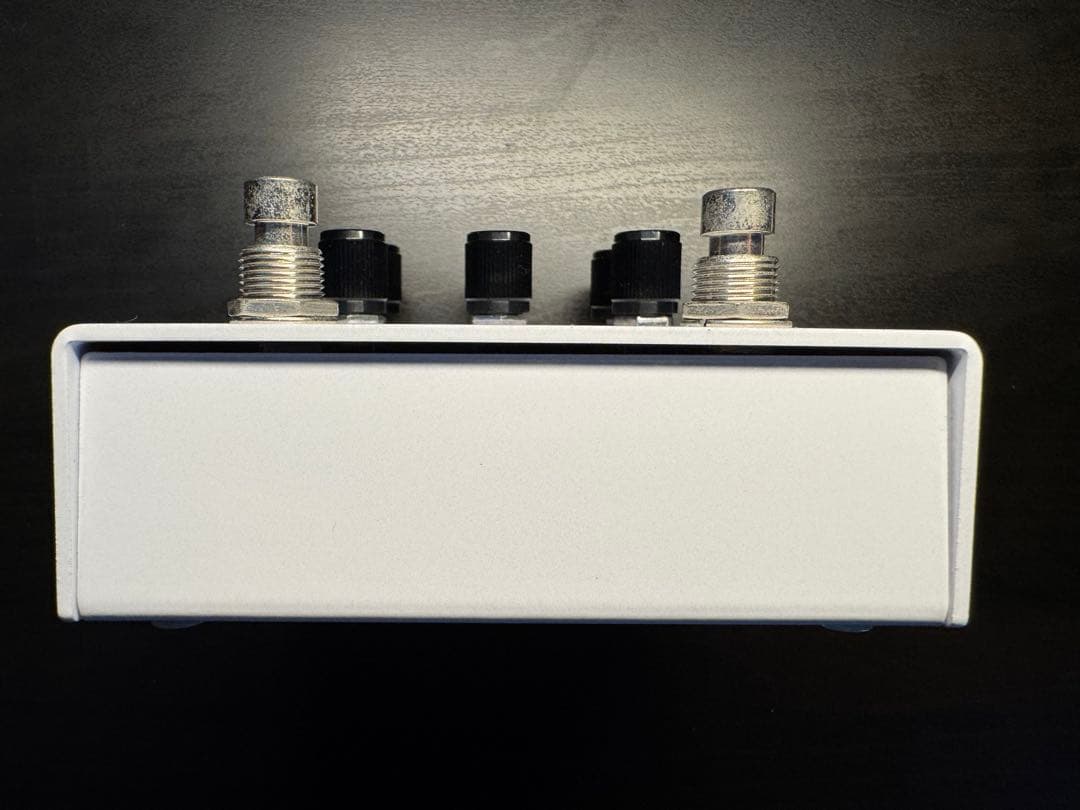 ギター Meris Polymoon Digital Delay