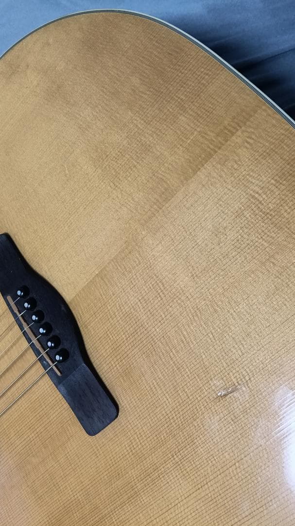 Samick Greg Bennett ASDM アコギ　（ハードケース付き）