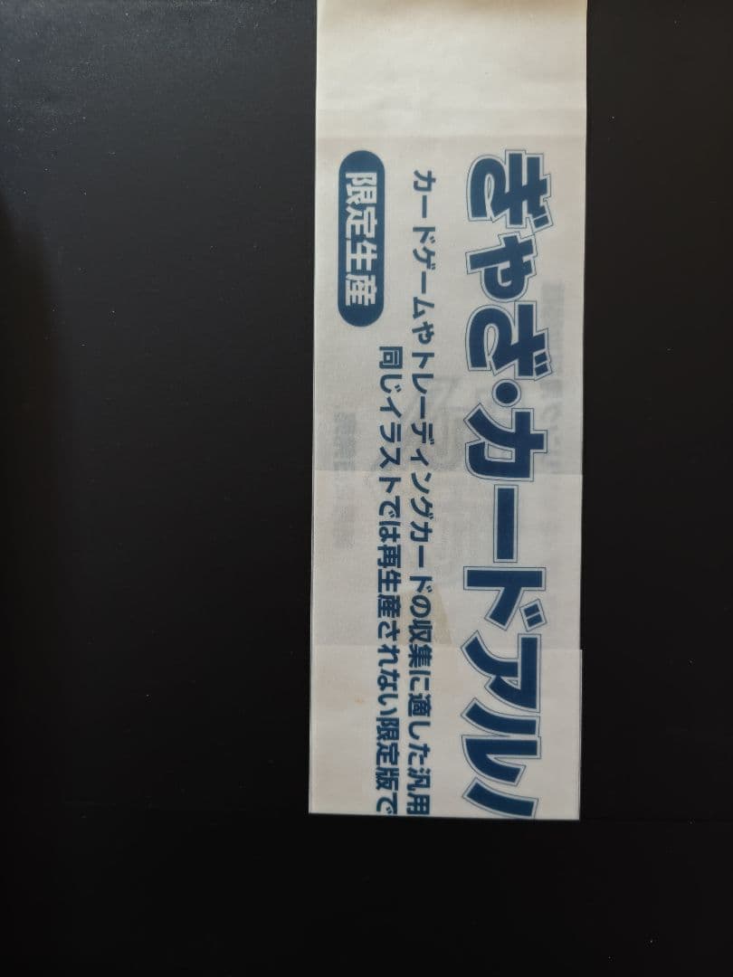 ぎゃざガール　バインダー 限定品