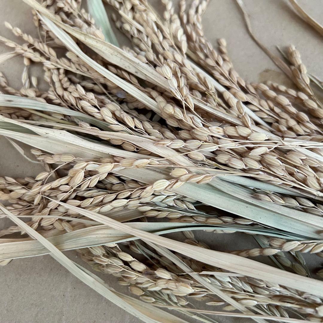 Mammyさま専用 超特大一対 門松 ハンドメイド 自然栽培