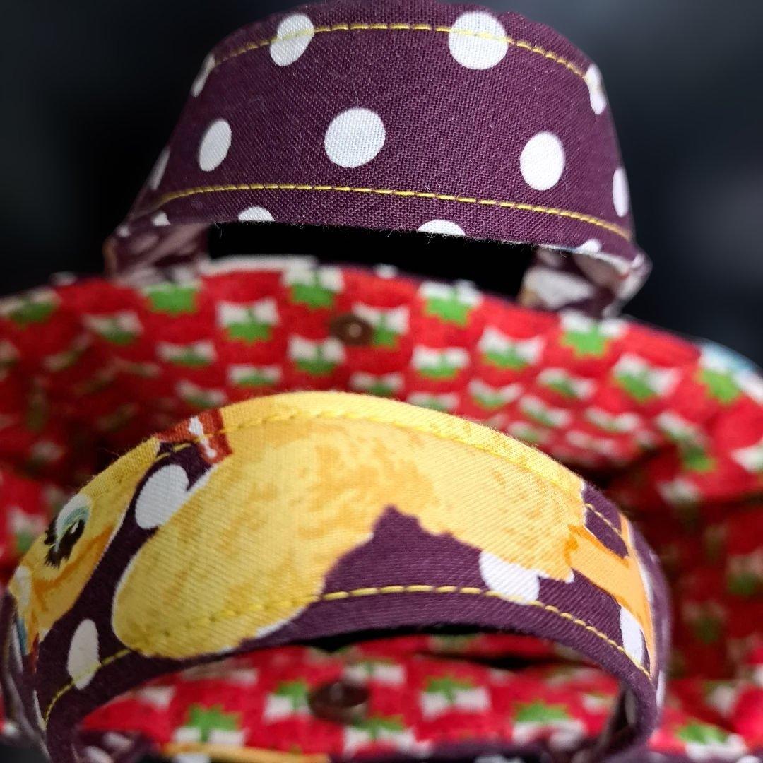 コヤンイサムチョン♥️にゃんたん