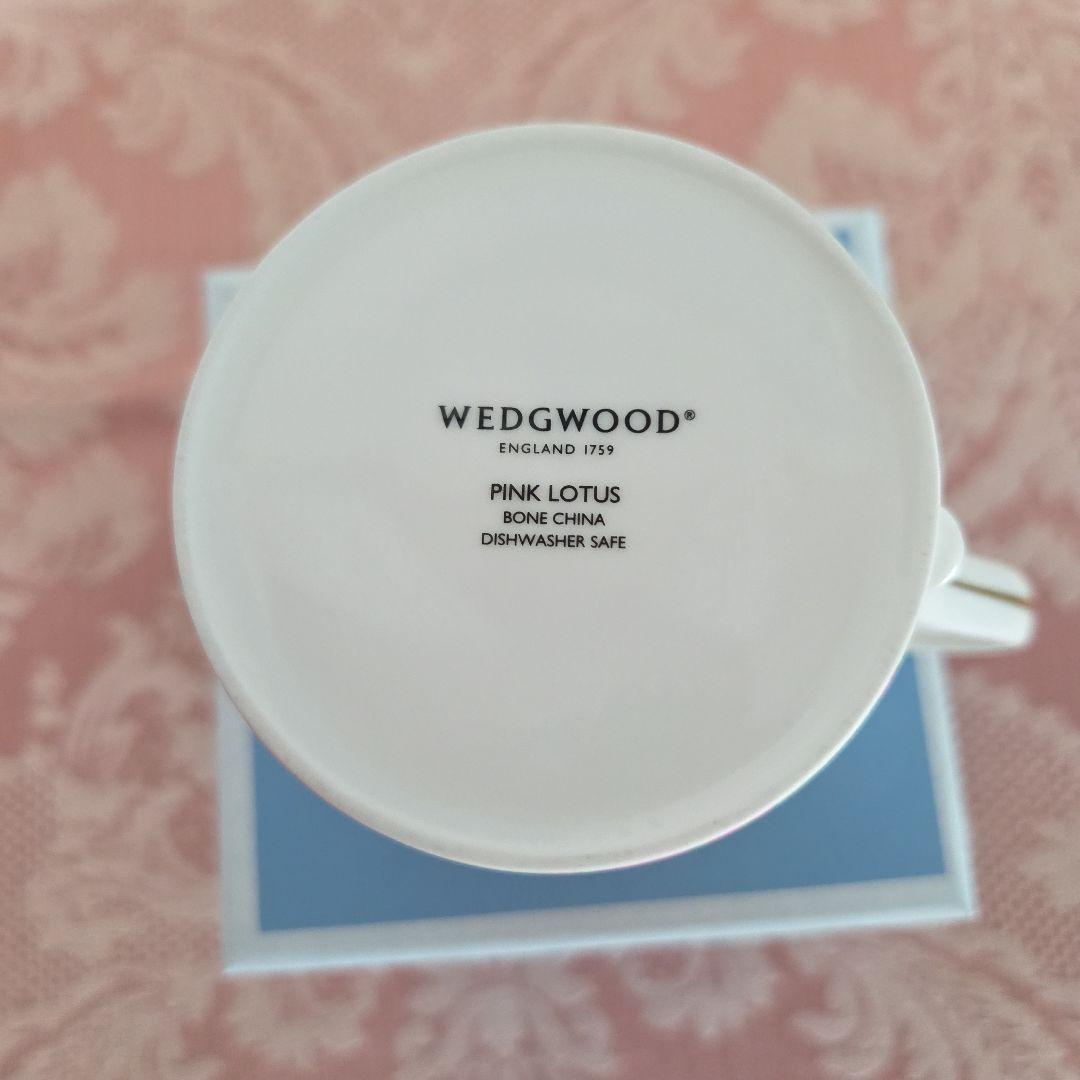  PINK ROTUS、WATERLIRY ２種のカップ&皿
