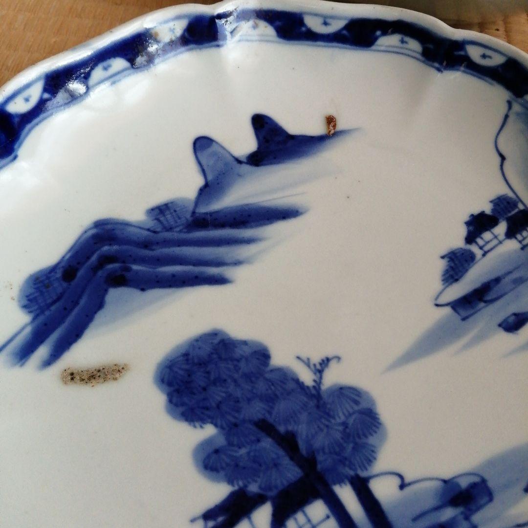 伊万里　染付輪花縁大皿　11枚　25cm　幕末〜大正期