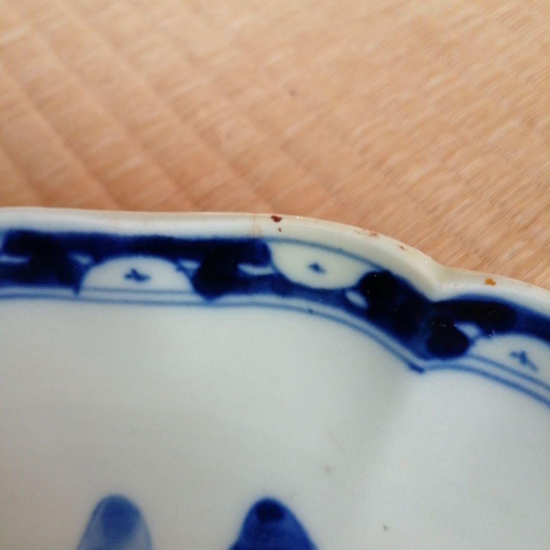 伊万里　染付輪花縁大皿　11枚　25cm　幕末〜大正期