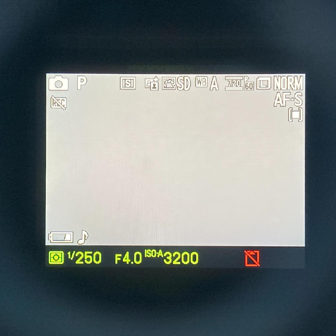 Nikon 1 V1　ブラック　ダブルズーム