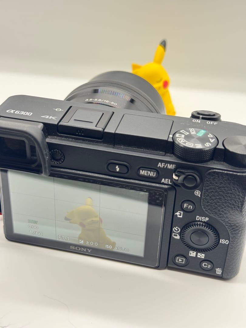 Sony α6300 + SELP1650
