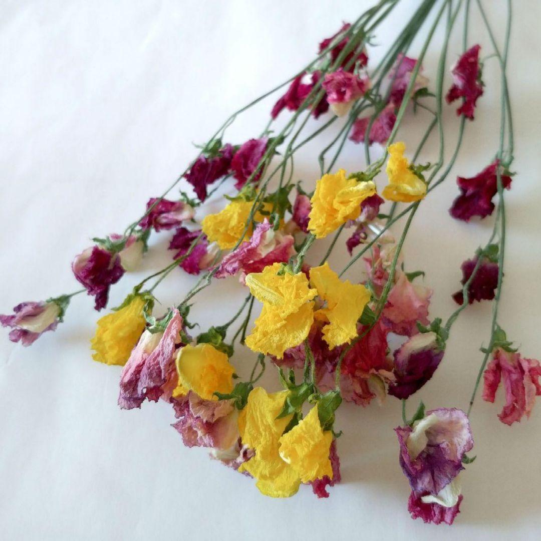 imaruya_108様 リクエスト 7点 まとめ商品