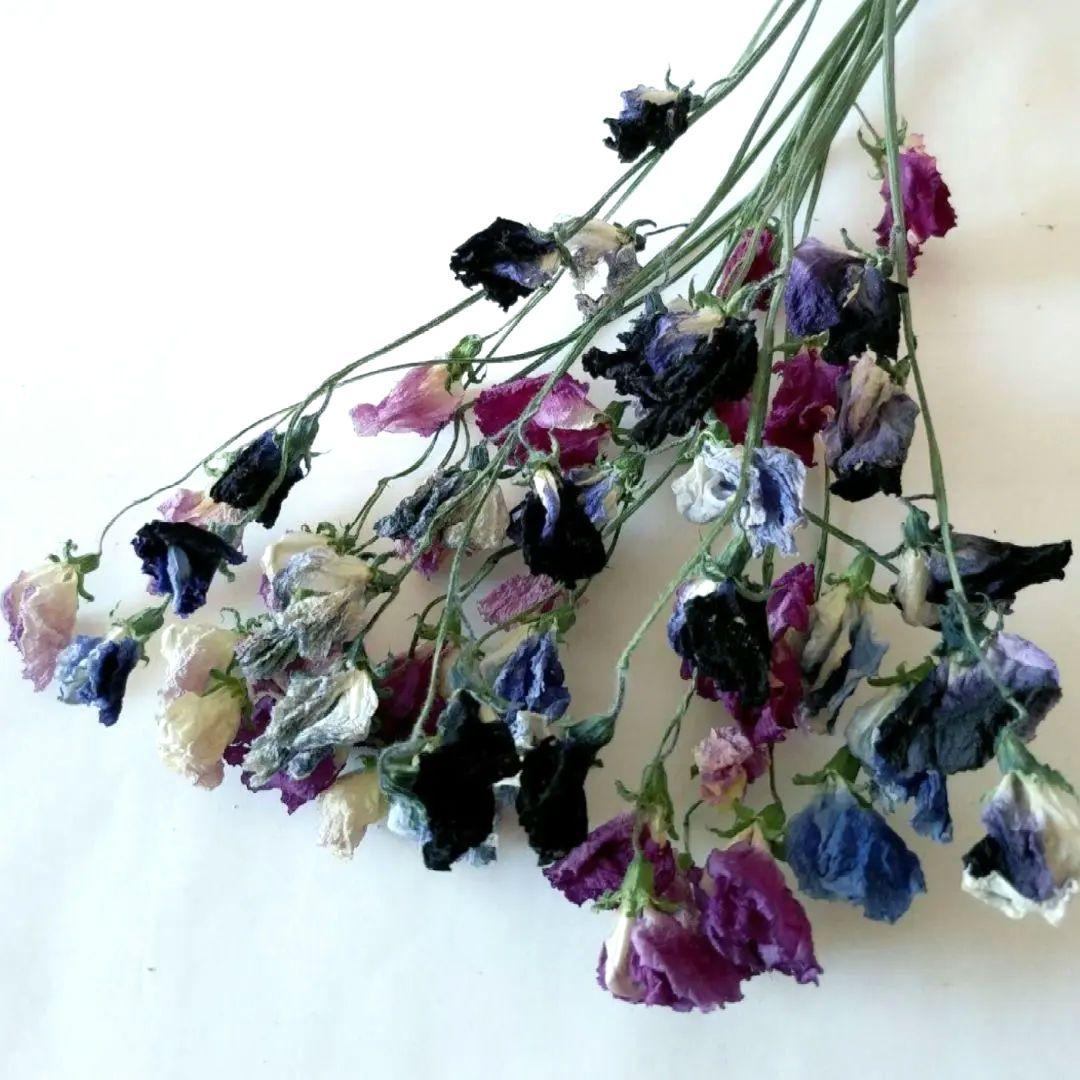 imaruya_108様 リクエスト 7点 まとめ商品