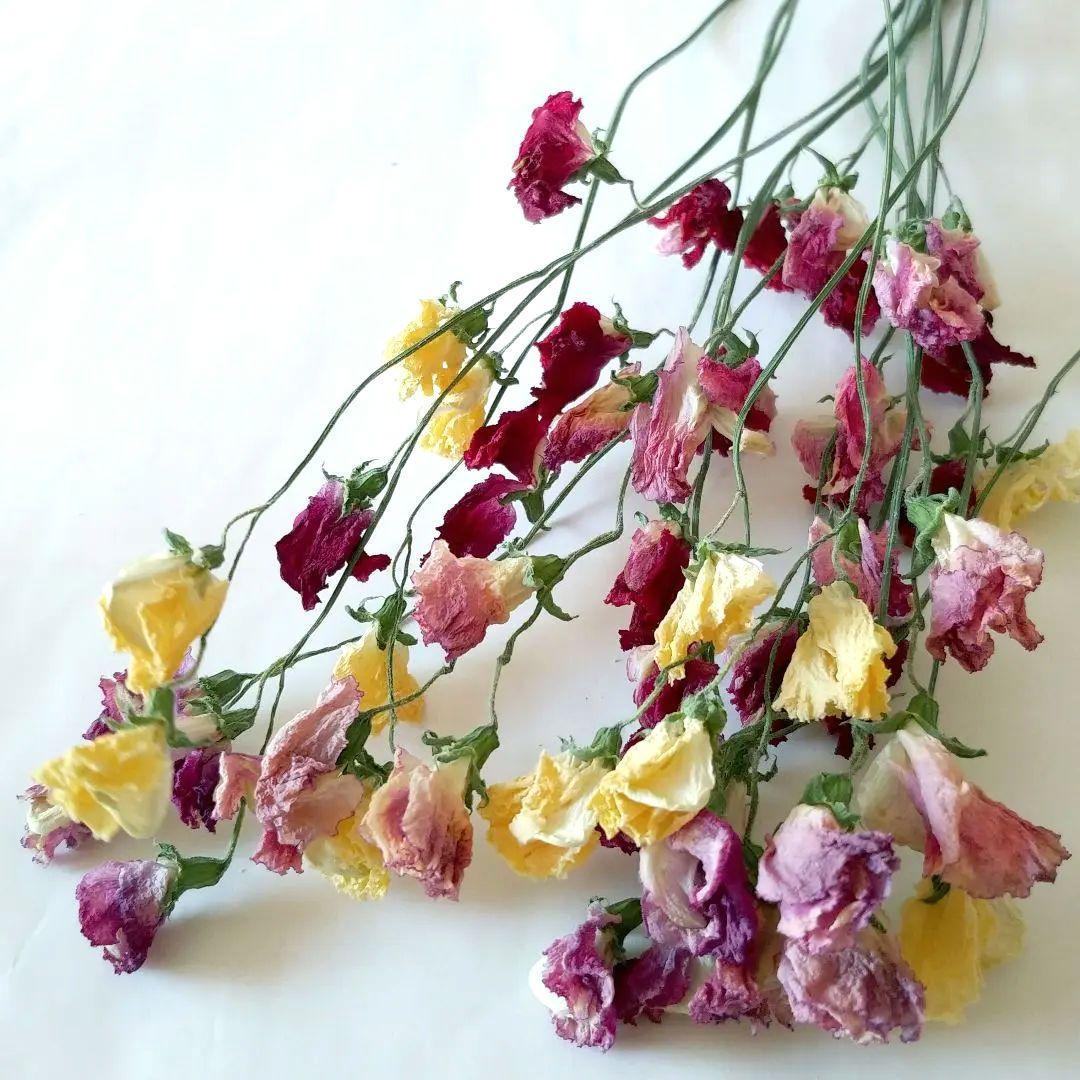 imaruya_108様 リクエスト 7点 まとめ商品