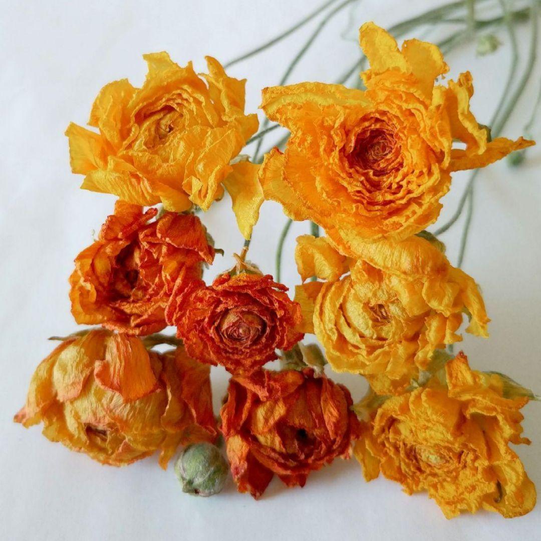 imaruya_108様 リクエスト 7点 まとめ商品