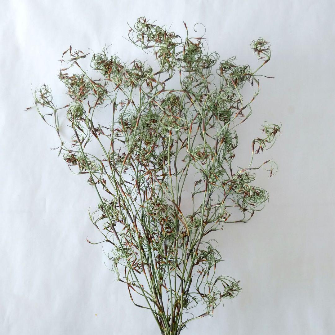 imaruya_108様 リクエスト 7点 まとめ商品