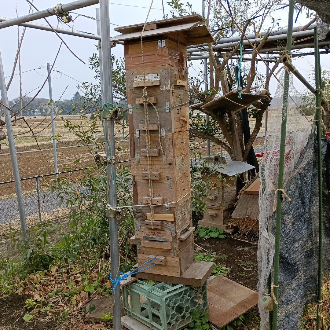 日本蜜蜂の巣箱　02